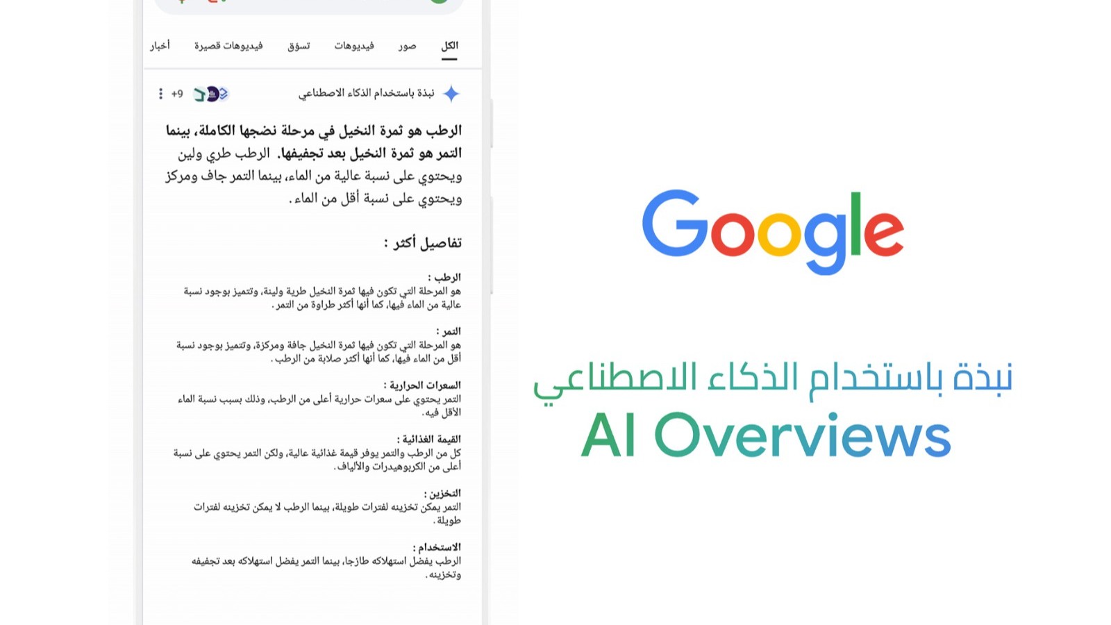 طفرة جديدة في البحث.. جوجل تتيح AI Overview باللغة العربية